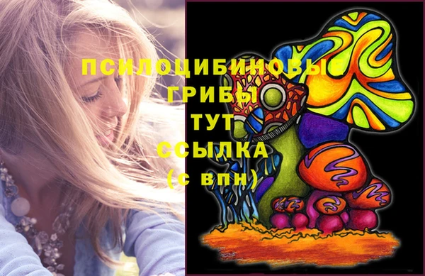 2c-b Арсеньев