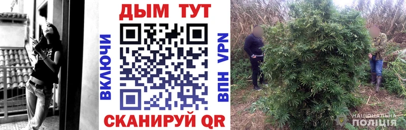 Шишки марихуана ГИДРОПОН  shop наркотические препараты  Верхнеуральск 